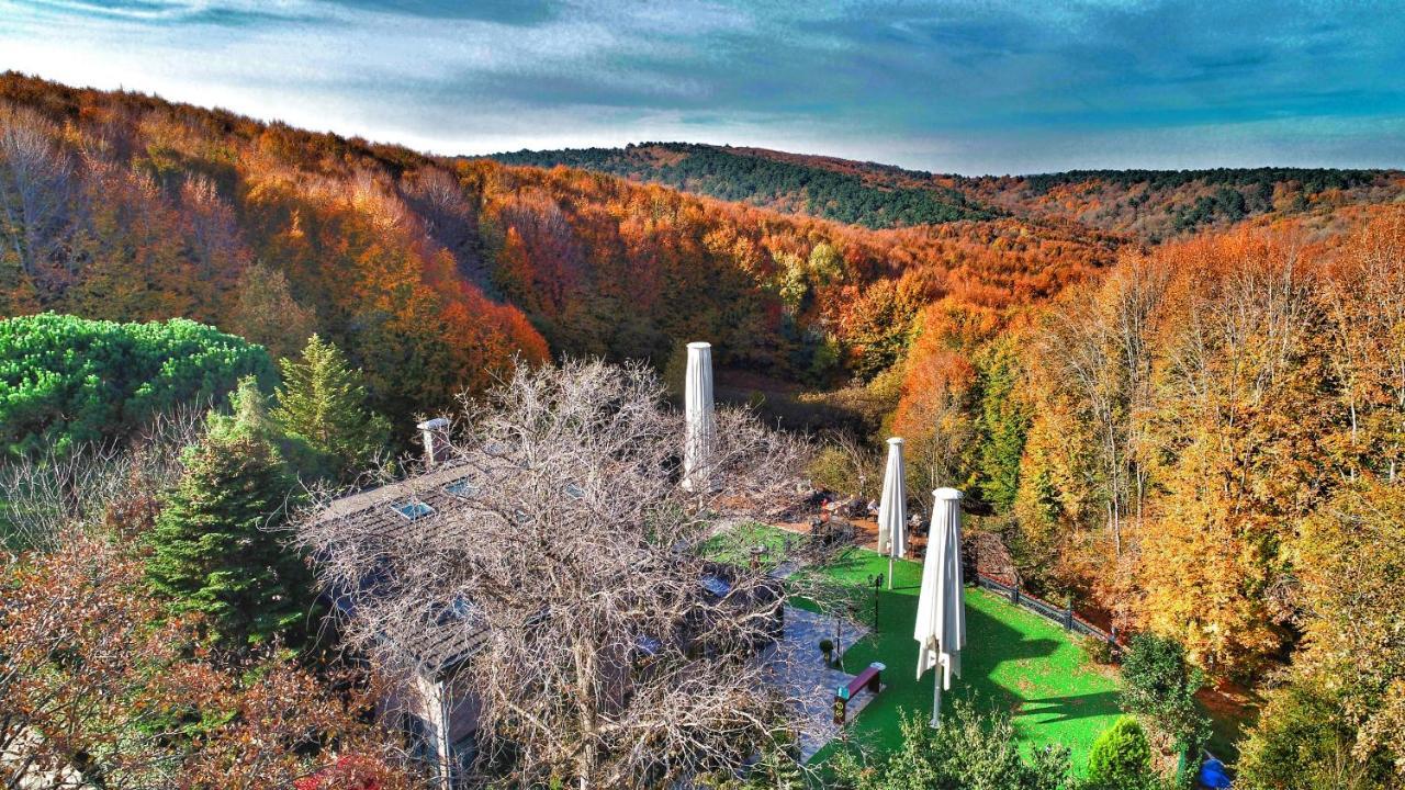 Villa Polonez Istanbul Luaran gambar